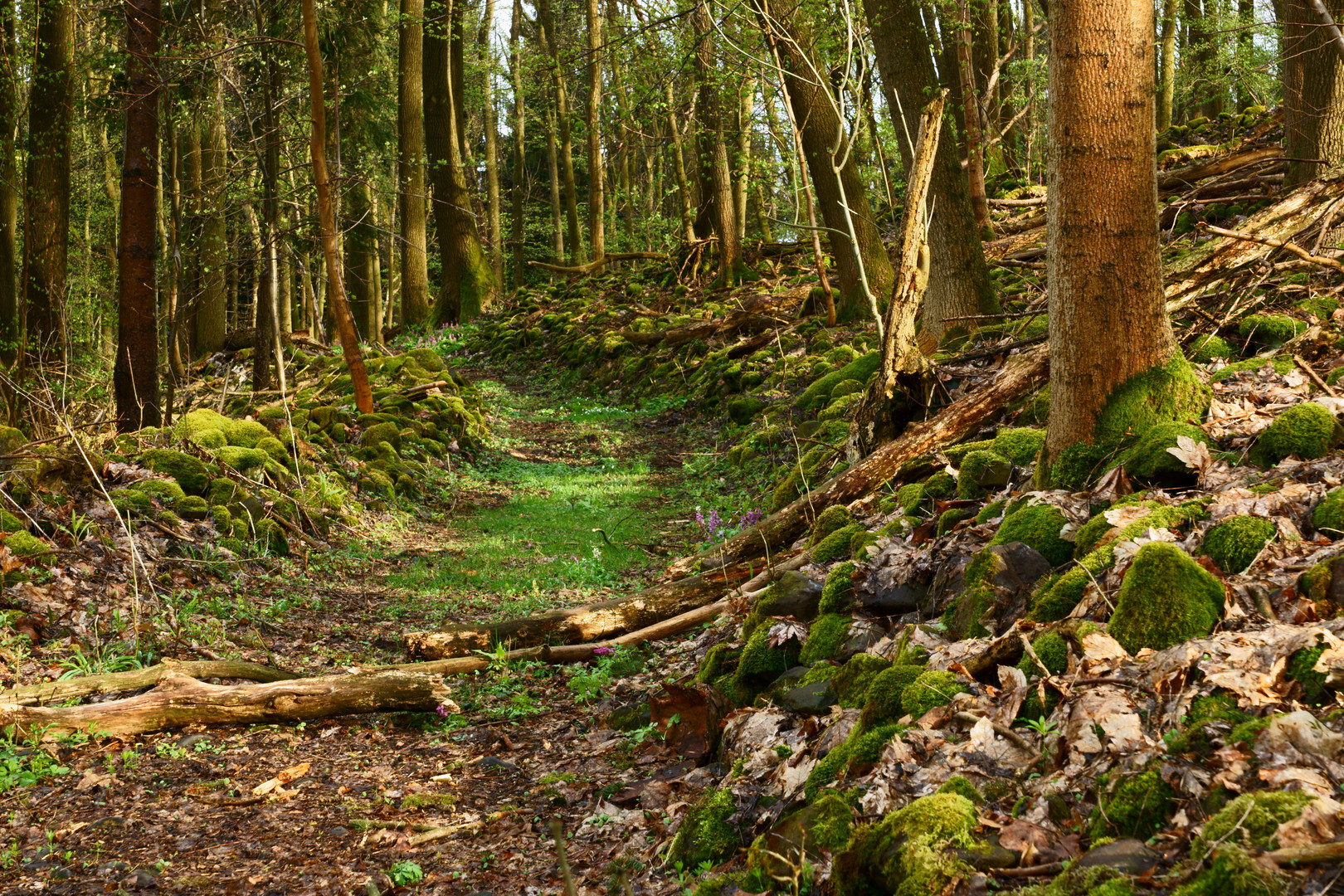 Alter Weg