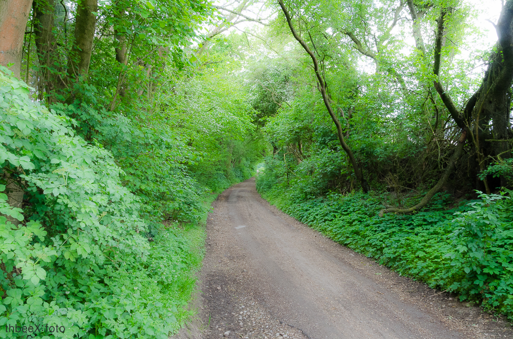 alter Weg, Alt Merberen bei Baesweiler, NRW