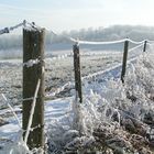 Alter Weidezaun mit Rauhreif