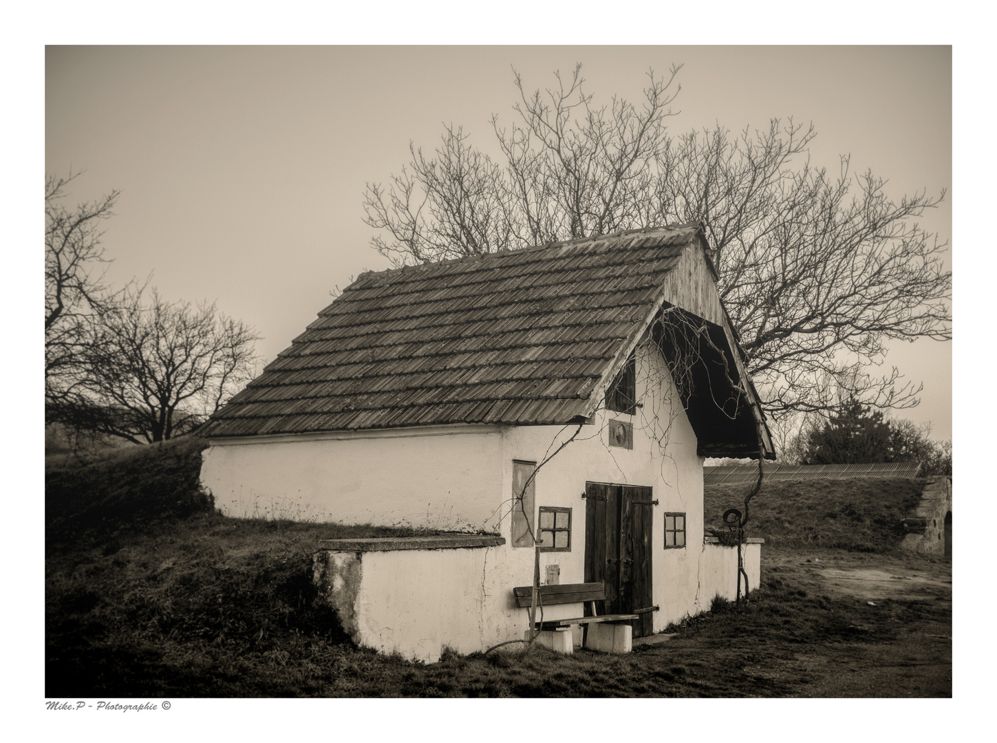 ALTER WEINKELLER - PRELLENKIRCHEN