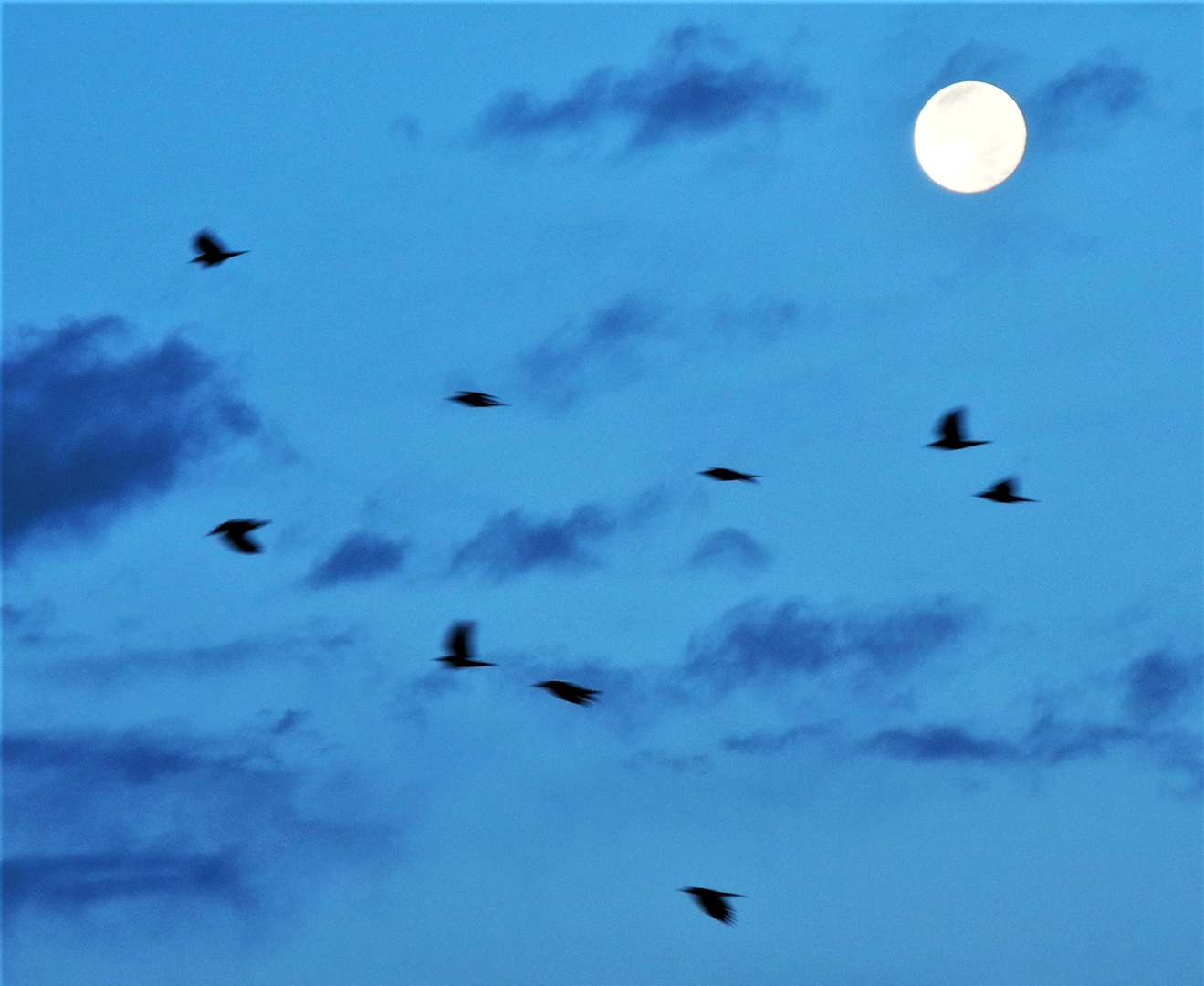 Alter, weisser Mann schaut bei Vollmond...