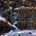 Alter Zaun im Winter
