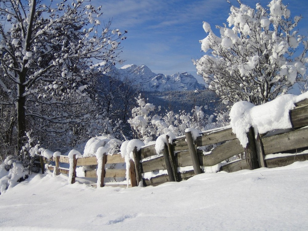 Alter Zaun mit Schnee