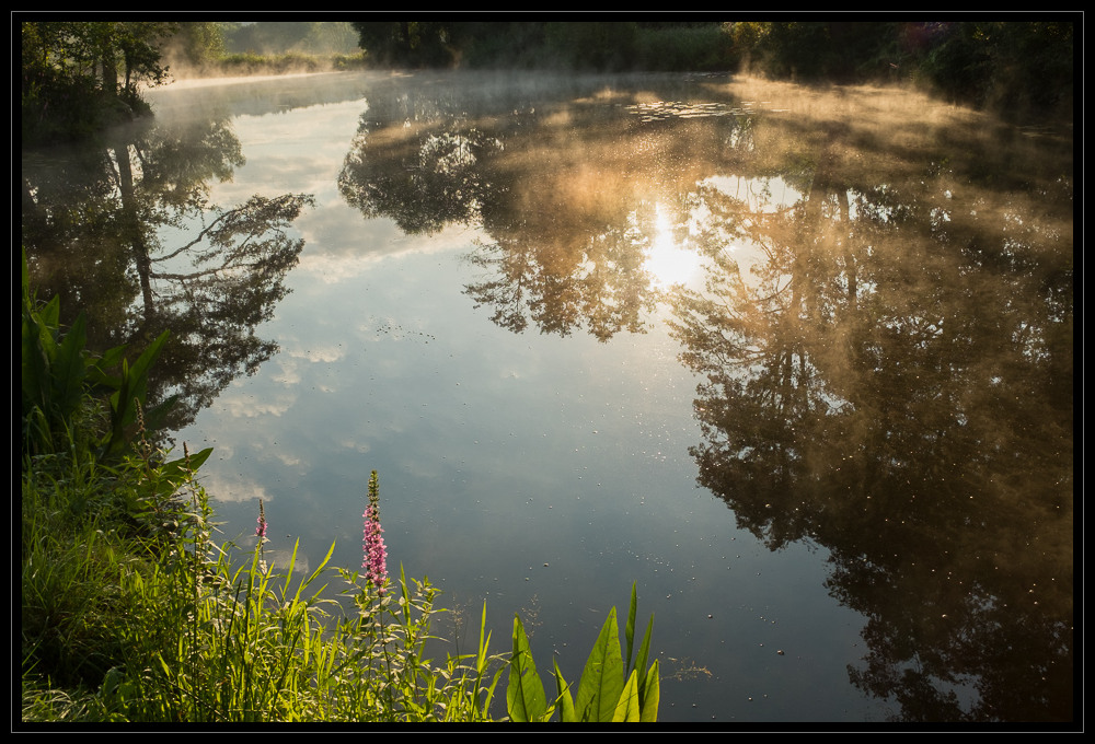 Alterlanger See am Morgen