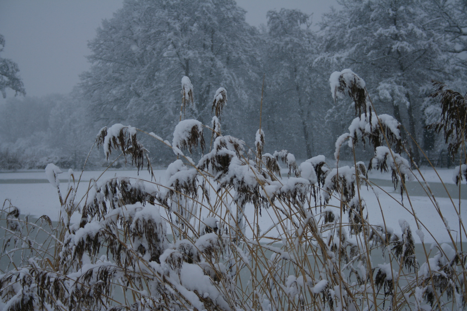 Alterlanger See im Winter