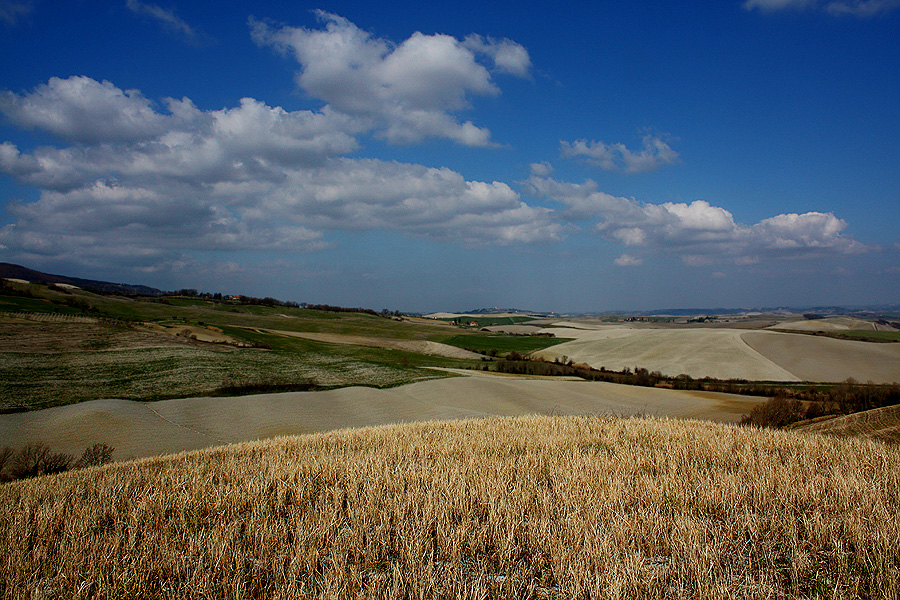 Alternanza di colori in collina