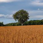 "Alternative Landwirtschaft"