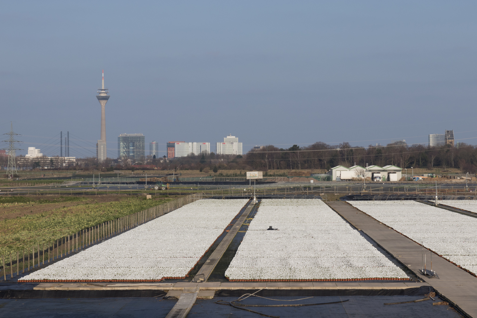 Alternative Skyline: Landwirtschaft in Düsseldorf