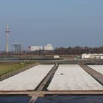 Alternative Skyline: Landwirtschaft in Düsseldorf