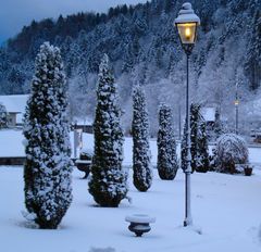 Altersheim in Bauma Park nach Schneesturm