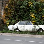 altes Auto in der Hecke