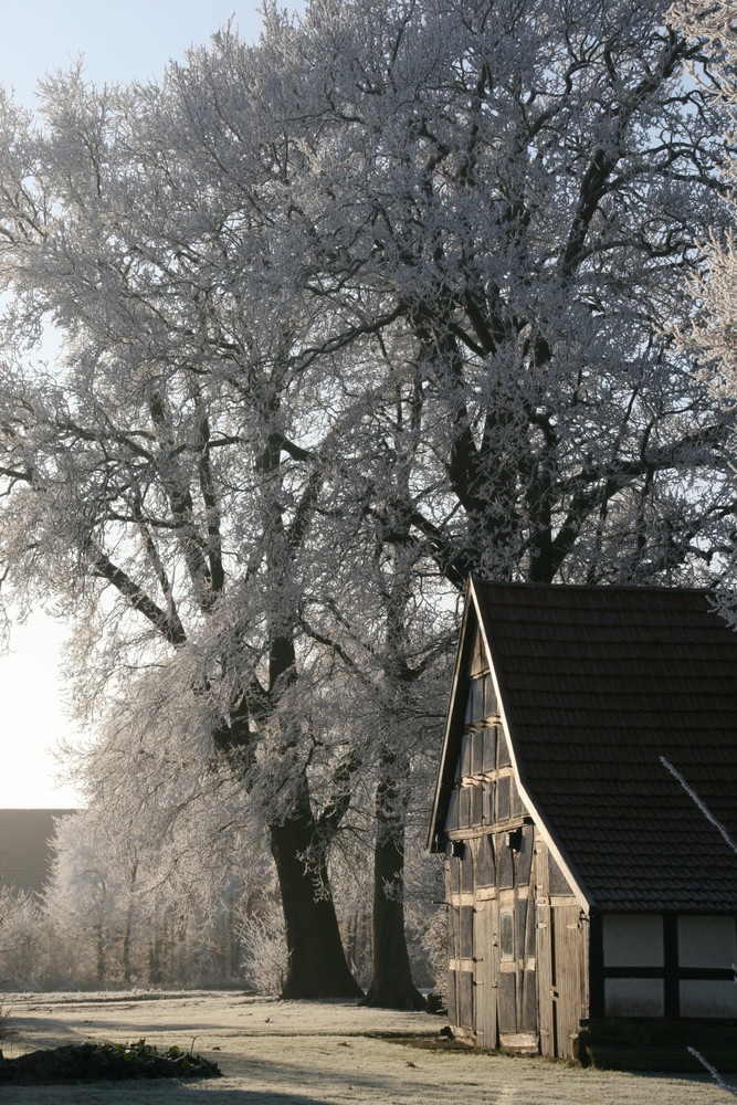 altes Backhaus