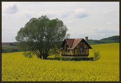 Altes Bahnhaus im Raps