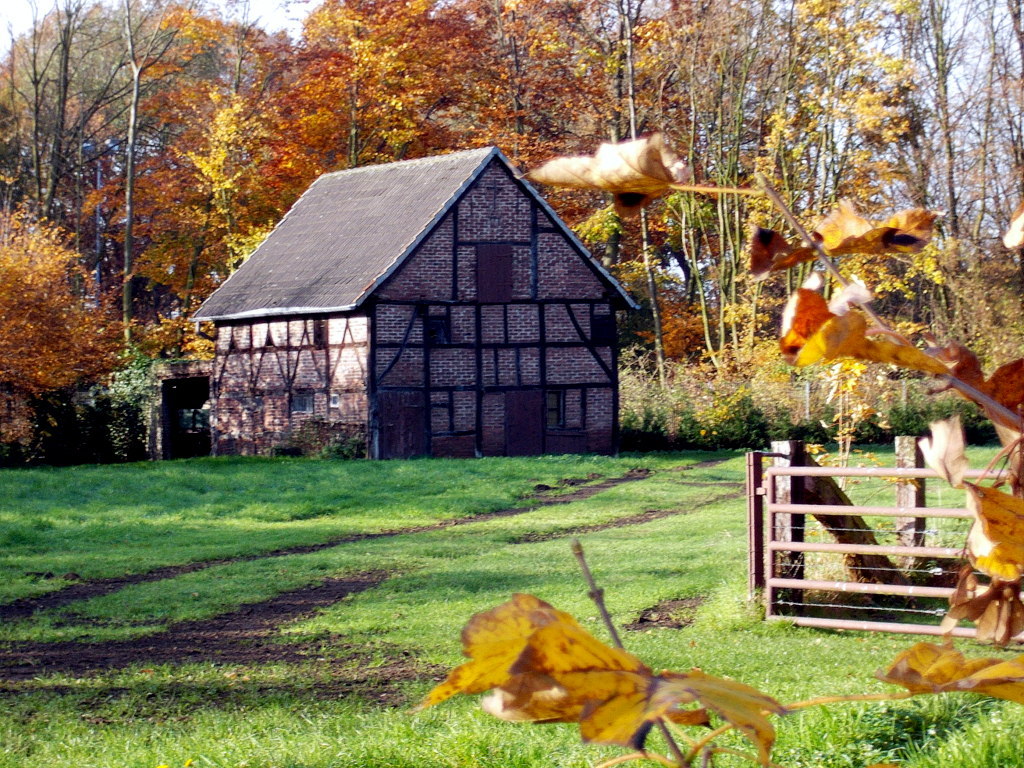 altes Bauerhaus im Herbst