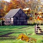 altes Bauerhaus im Herbst