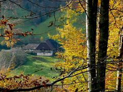 Altes Bauerngehöft im  Wildgutachtal 