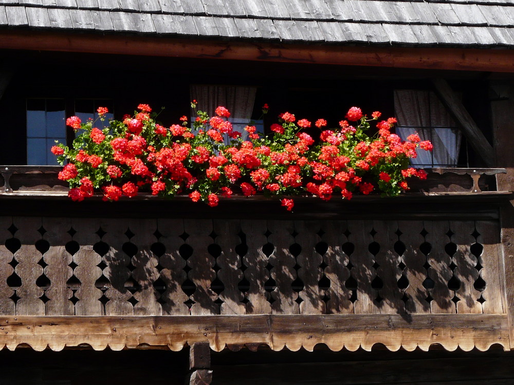 Altes Bauernhaus