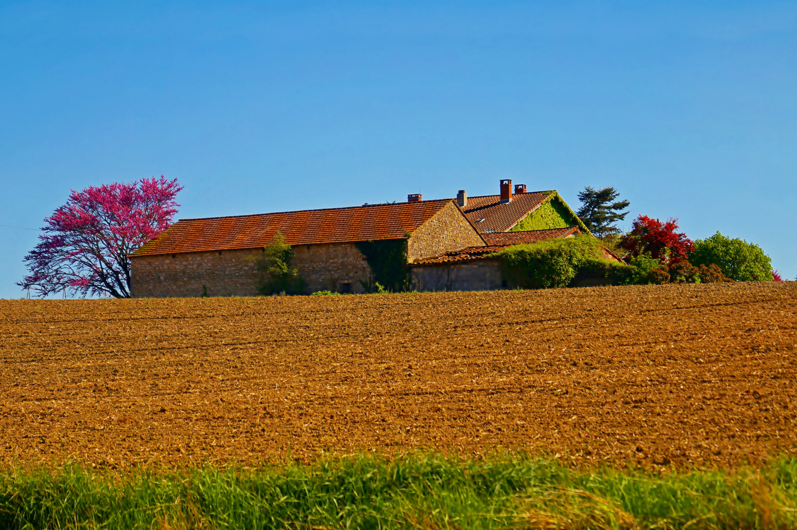 altes Bauernhaus