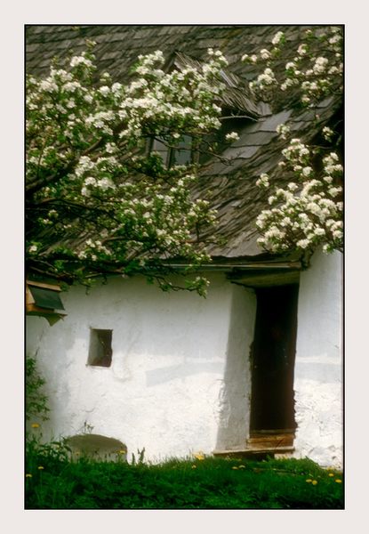 Altes Bauernhaus