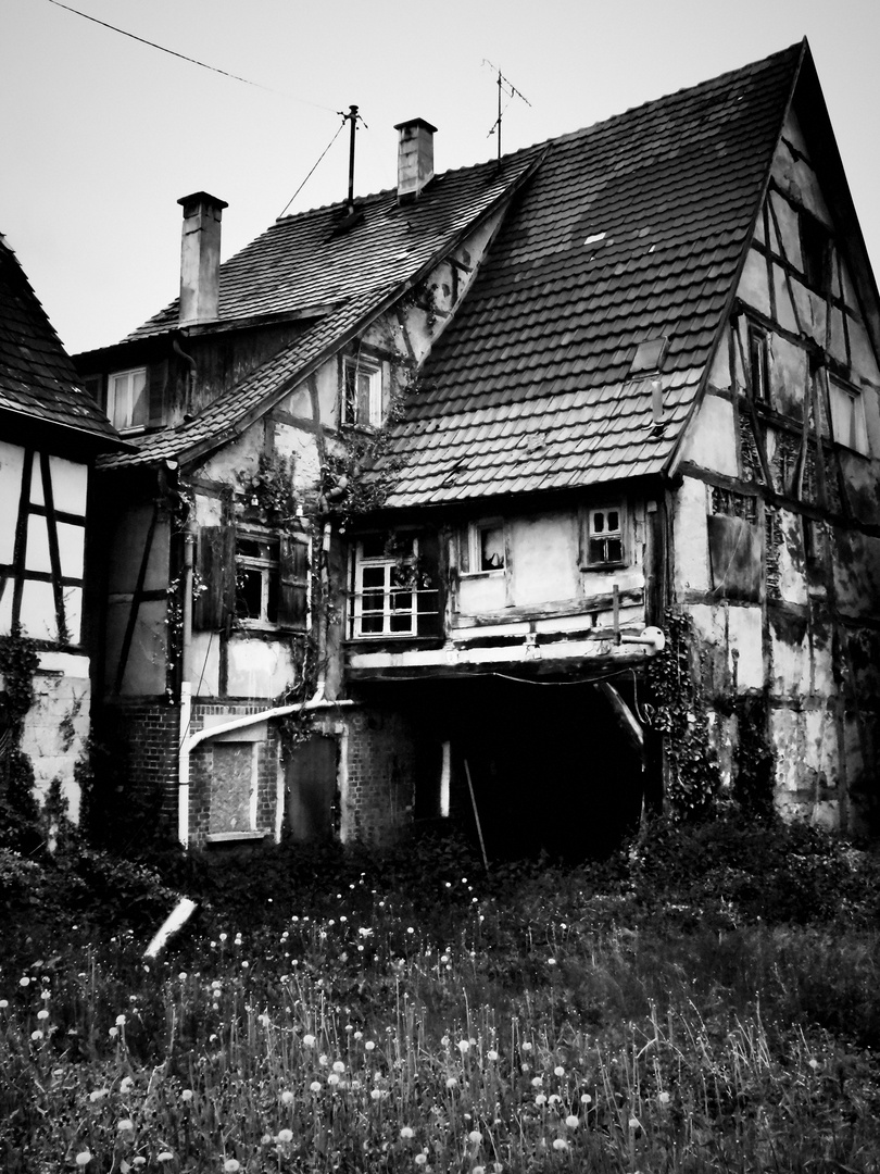 Altes Bauernhaus im Dornröschenschlaf