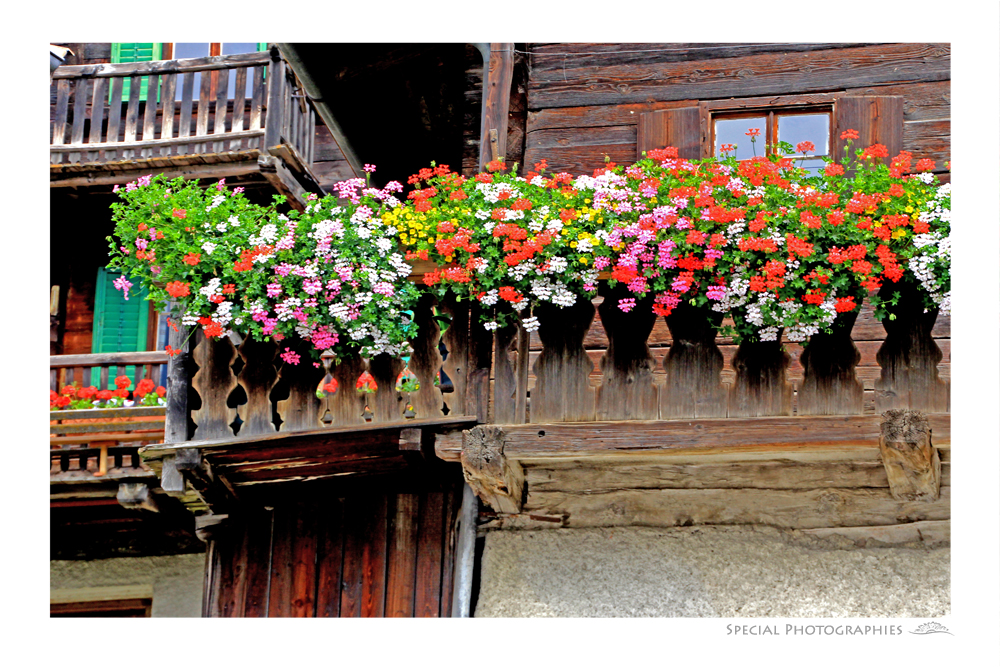 Altes Bauernhaus im Ultental mit Geranien