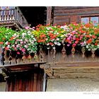 Altes Bauernhaus im Ultental mit Geranien