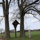 Altes Bildstöckel, alter Kreuzstein, Flurkreuz am Weg von Grauwinkl nach Jahrsdorf