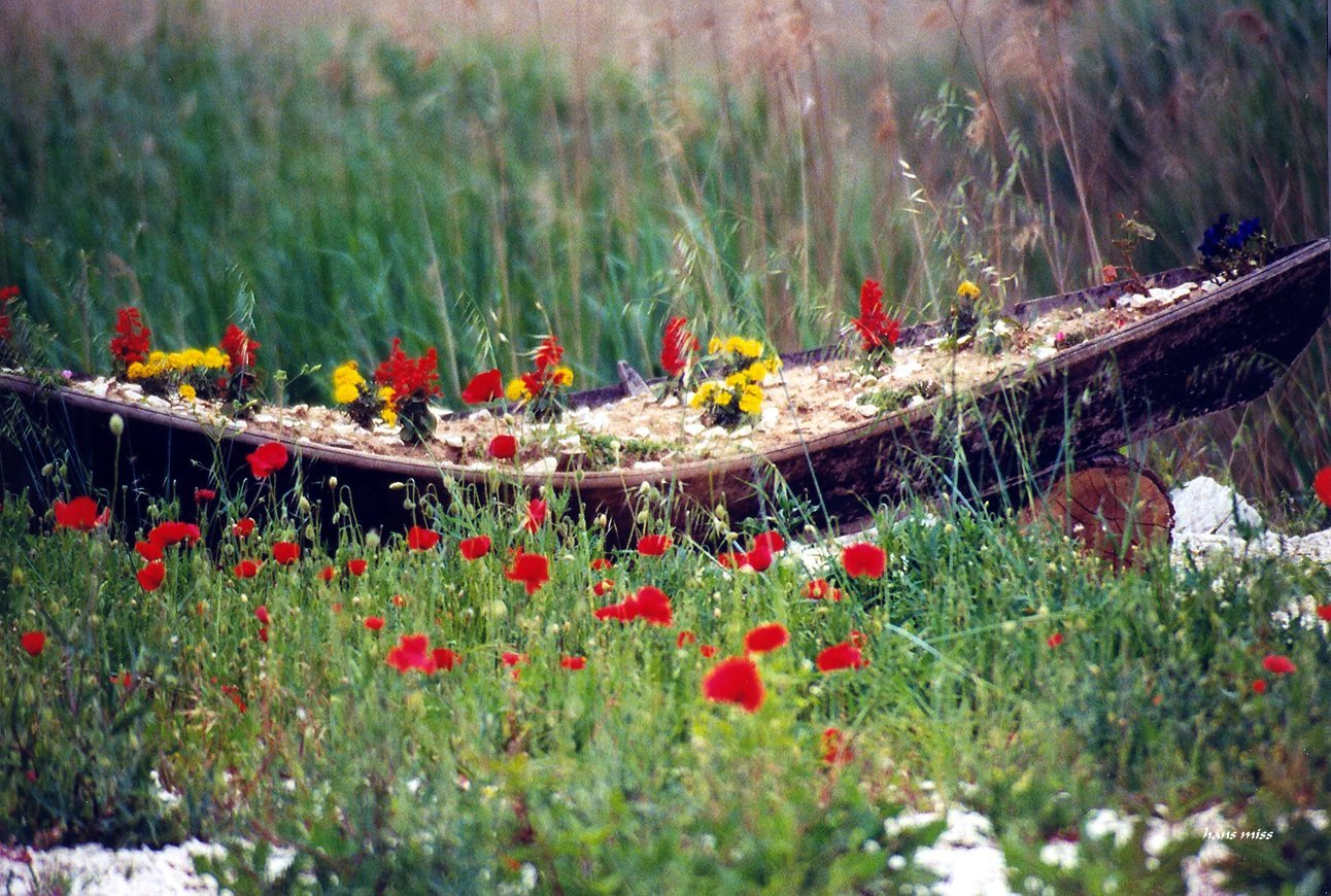 altes Boot