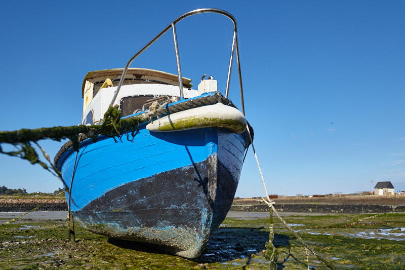 Altes Boot bei Ebbe I im Hafen von Paimpol (Bretagne)