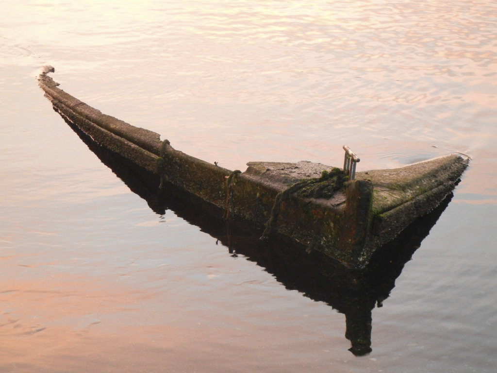 Altes Boot im See