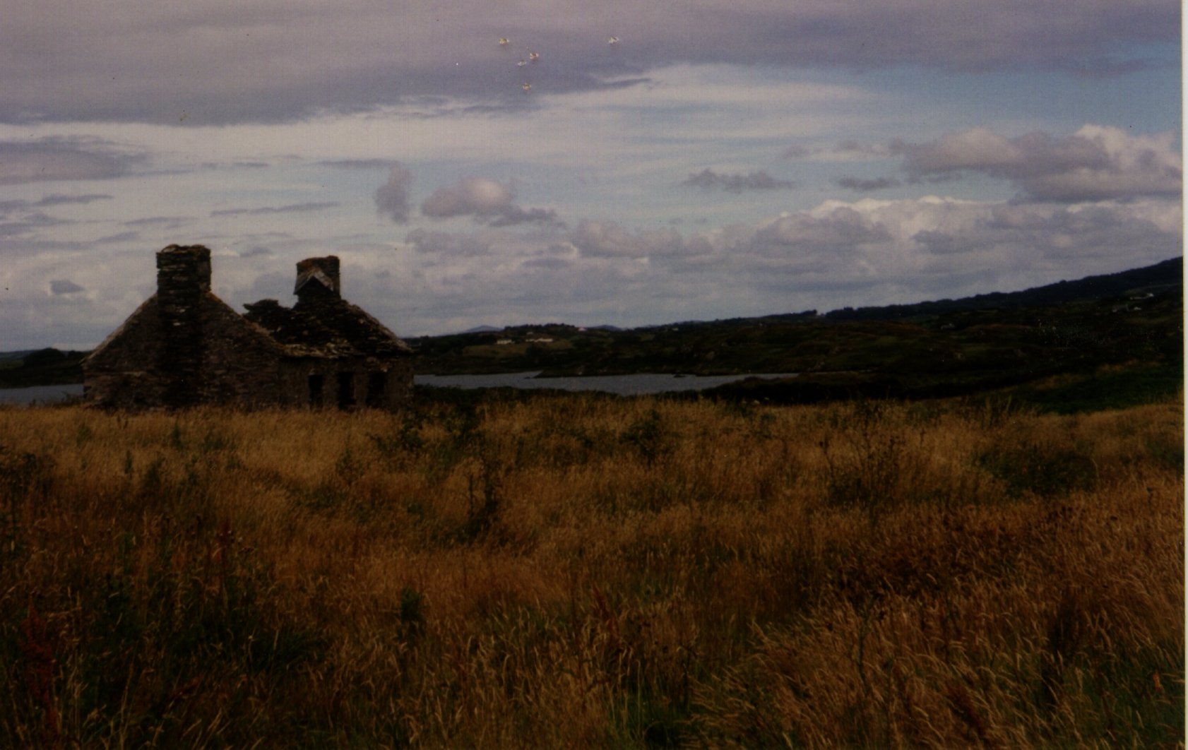 Altes Cottage in Irland