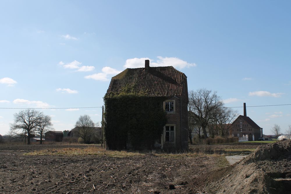 Altes Einfamilienhaus im Donröschenschlaf