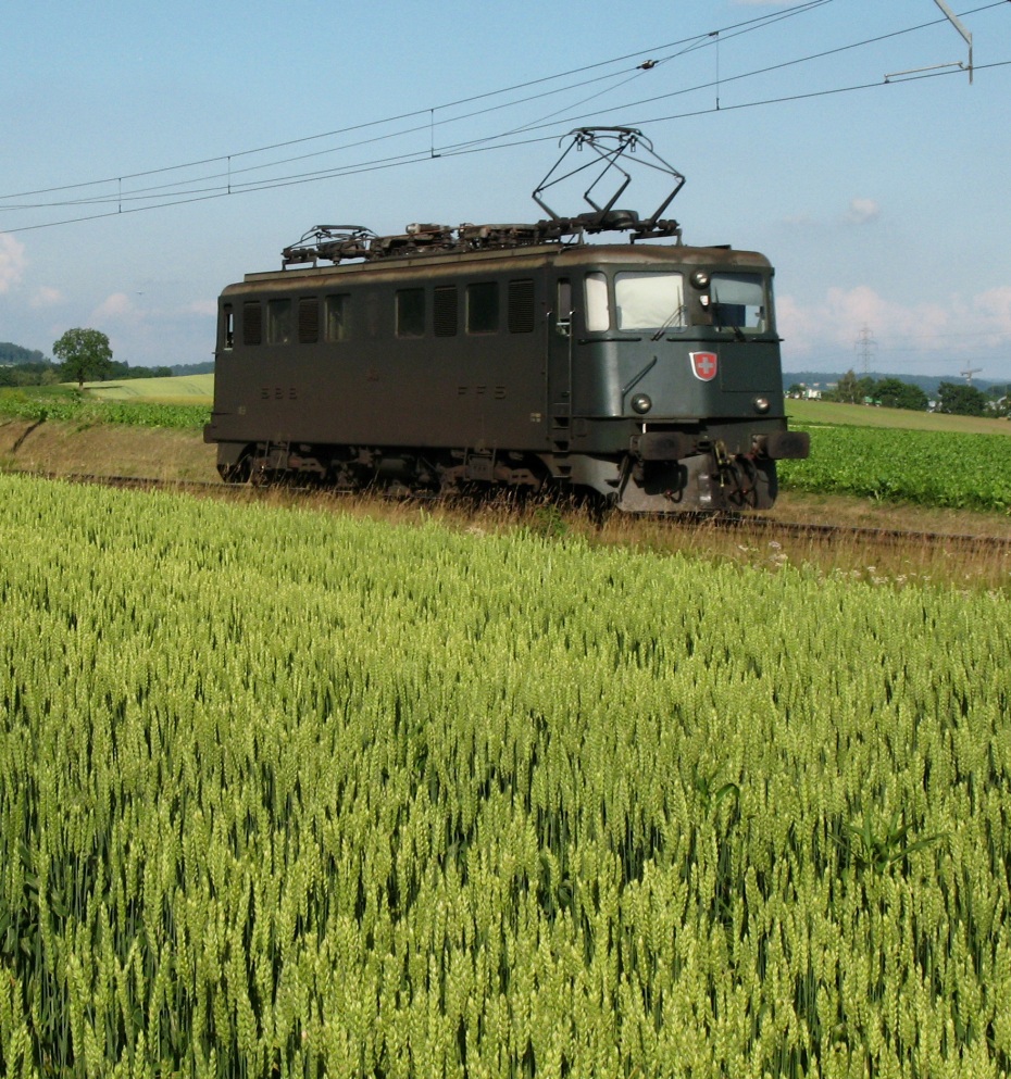 Altes Eisen im jungen Korn