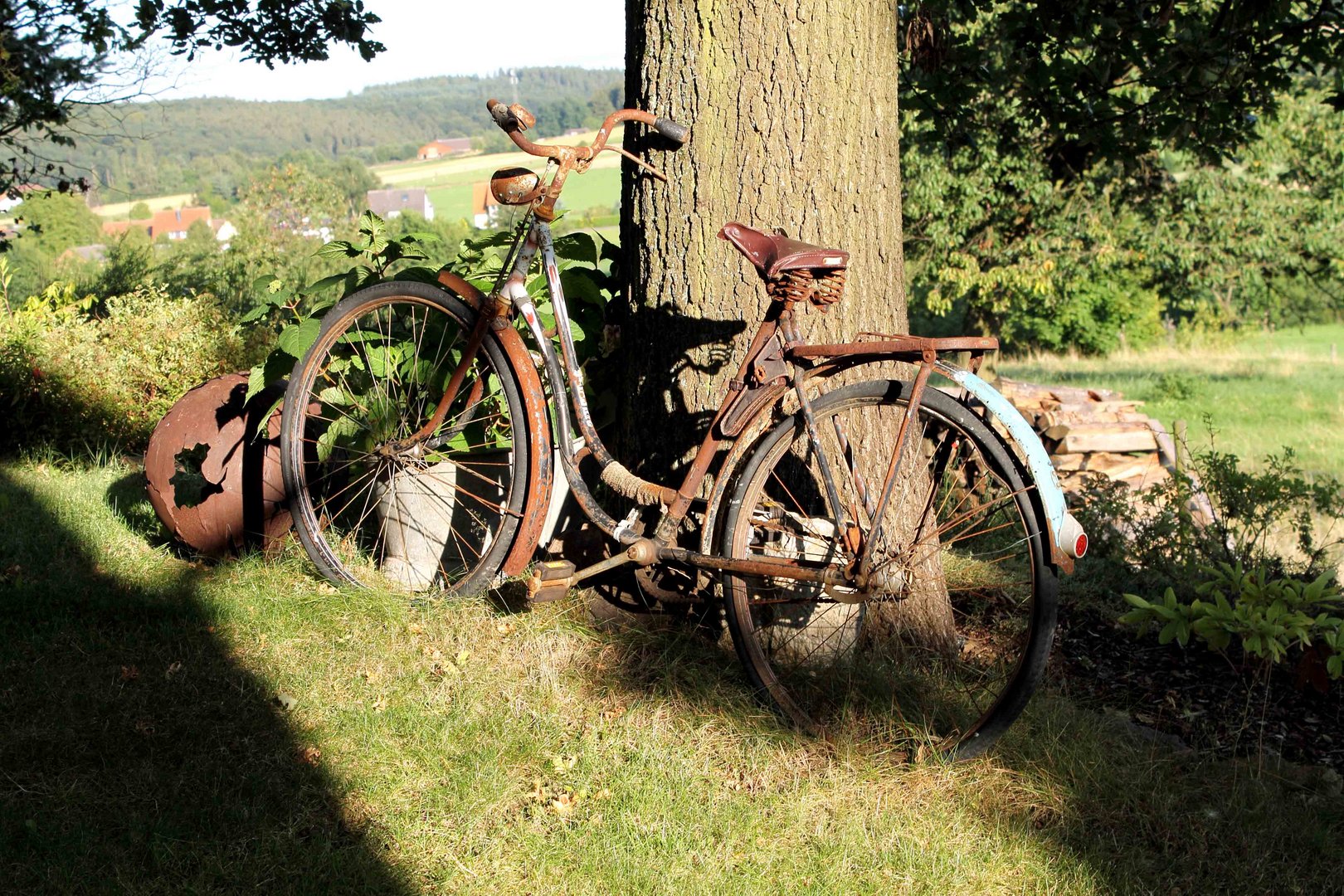 Altes Fahrrad