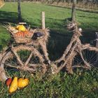 Altes Fahrrad - Immer noch zu gebrauchen