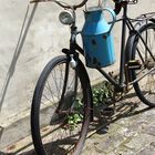 Altes Fahrrad mit blauer Milchkanne