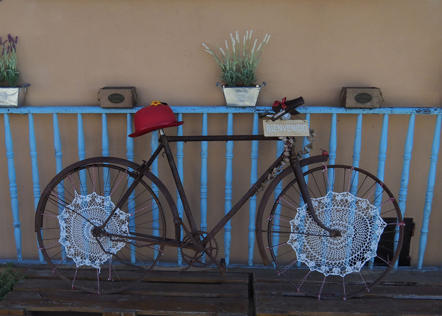 Altes Fahrrad neu erwacht !