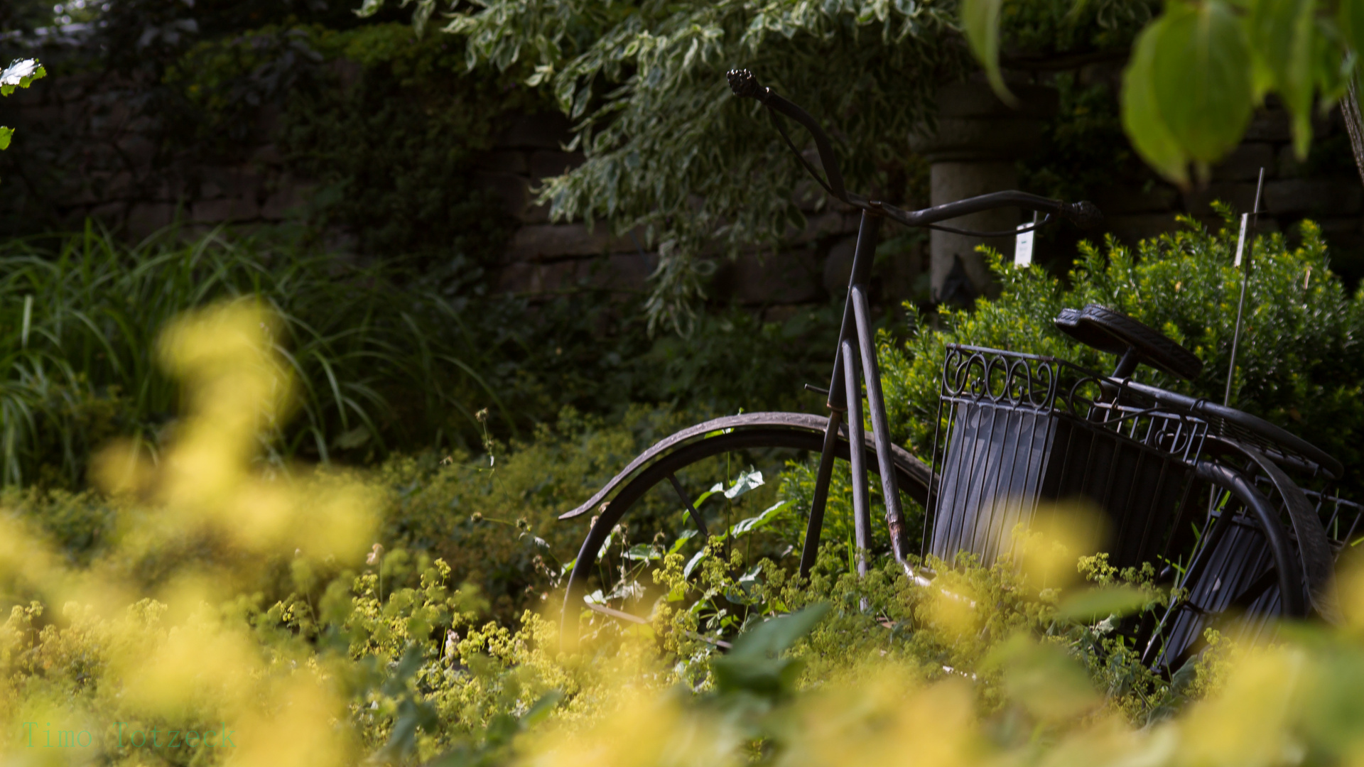 Altes Fahrrad160716