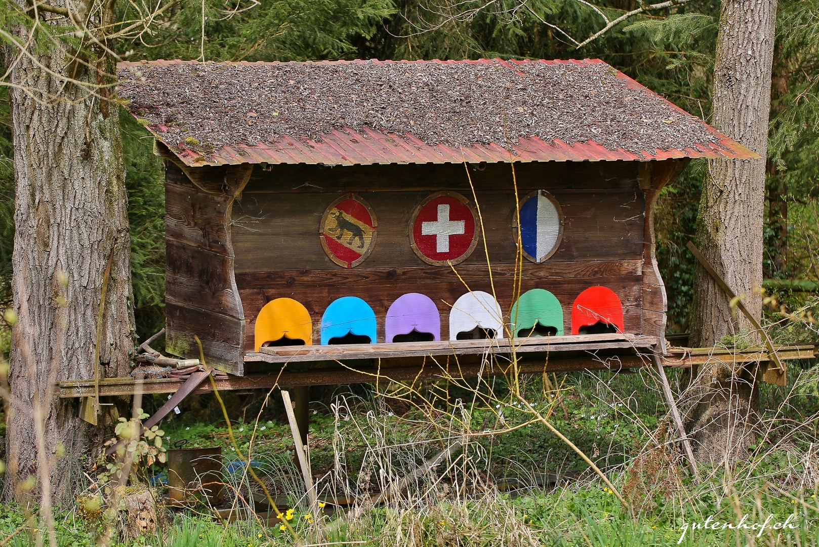 Altes, farbenfrohes Bienenhaus bei Altbüron