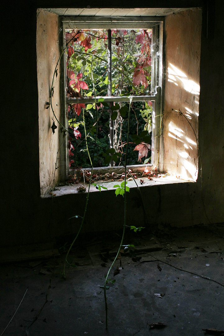 altes Fenster