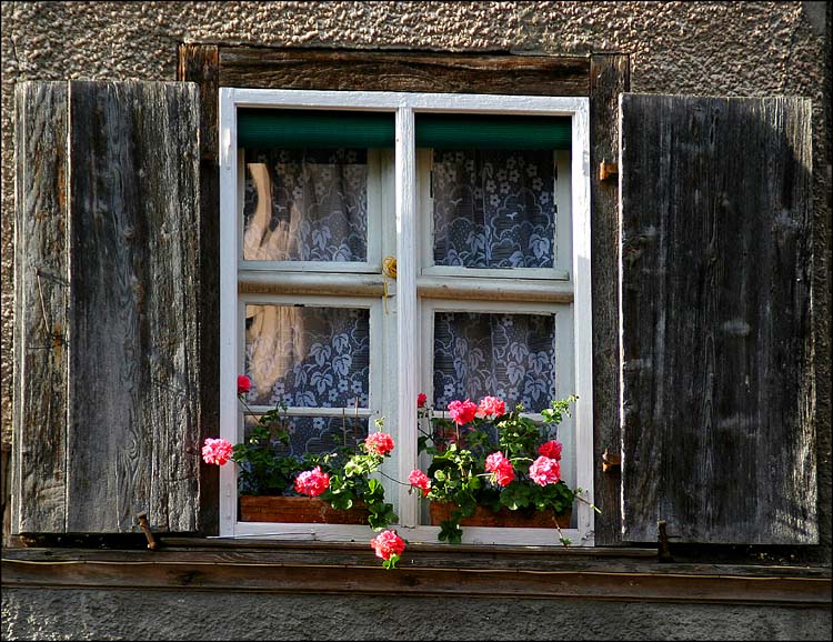 Altes Fenster im Elsass