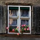 Altes Fenster im Elsass