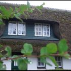 altes fenster in keitum