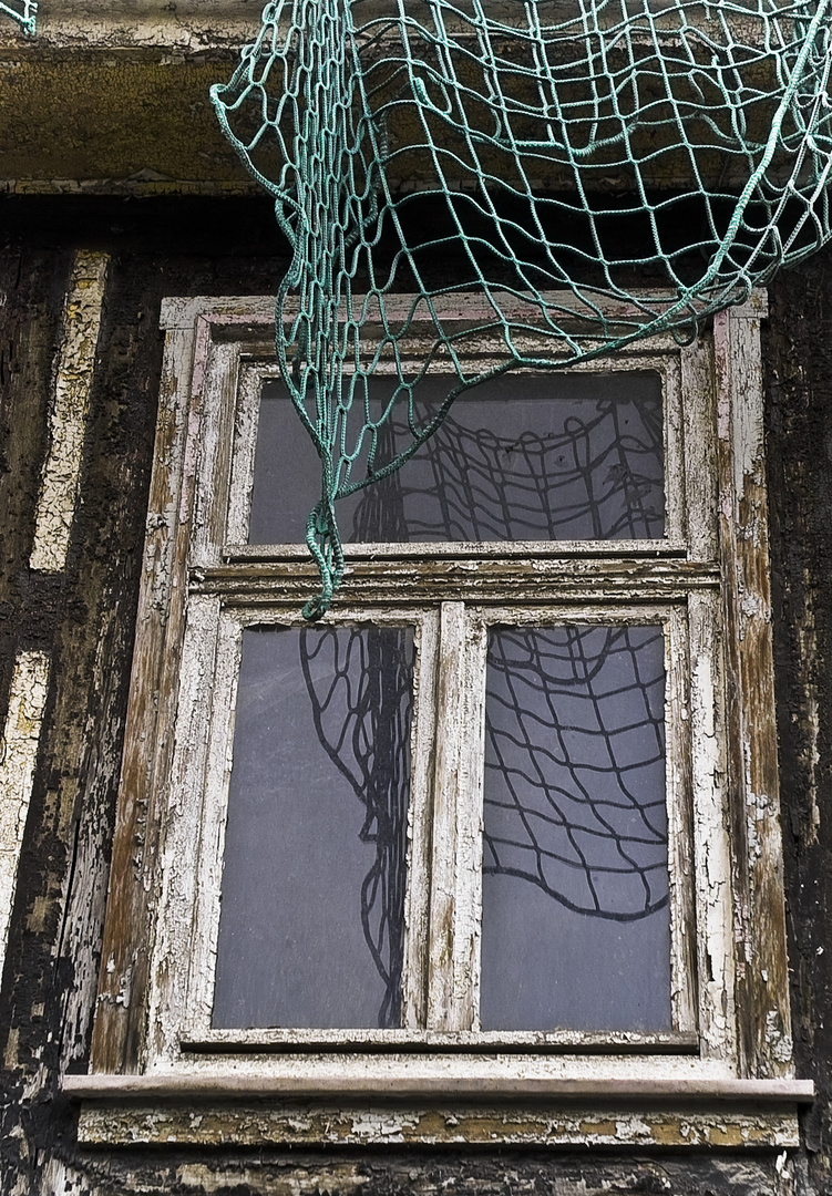 Altes Fenster mit Netz