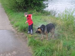 Altes Ferkel ??? äh Hund