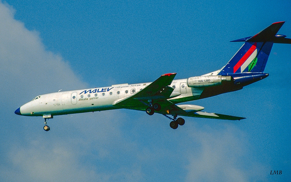 Altes Flugzeug neu lackiert