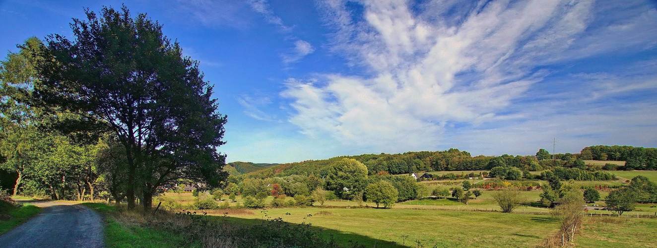 Altes Flußbett der Sieg bei Windeck - 2