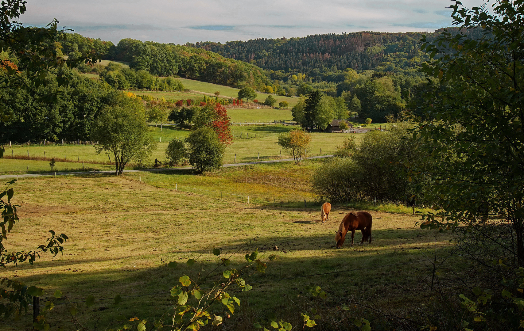 Altes Flußbett der Sieg bei Windeck