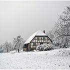 Altes Forsthaus im Winterkleid ,