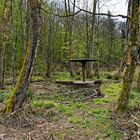 Altes Freibad bei Fischbach/Saar  (2)